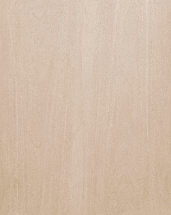 Clean Door Face